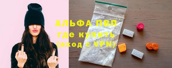 МДПВ Каменногорск