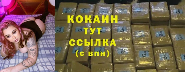 ALPHA-PVP Каменка